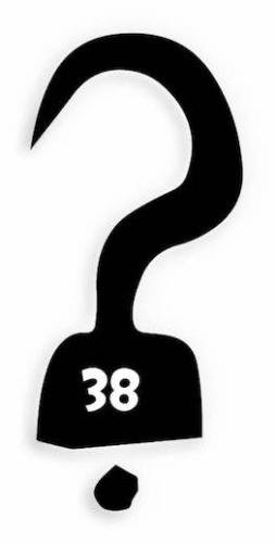 38 Pirate hook